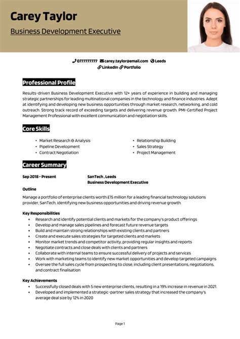 Business Development Executive Cv Example Guide [get Jobs]