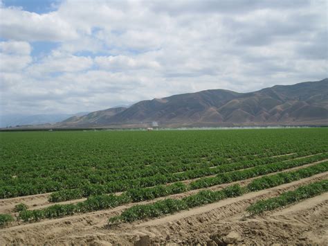 Agriculture in California’s San Joaquin Valley | Maven's Photoblog