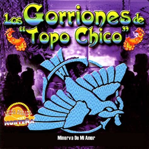 Minerva De Mi Amor Album By Los Gorriones Del Topo Chico Apple Music