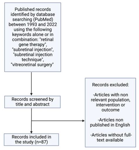 Subretinal Injection Techniques For Retinal Disease A Review PMC