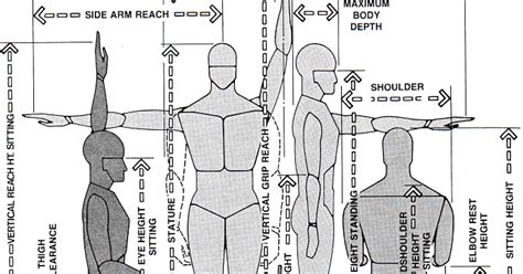 design: Anthropometrics