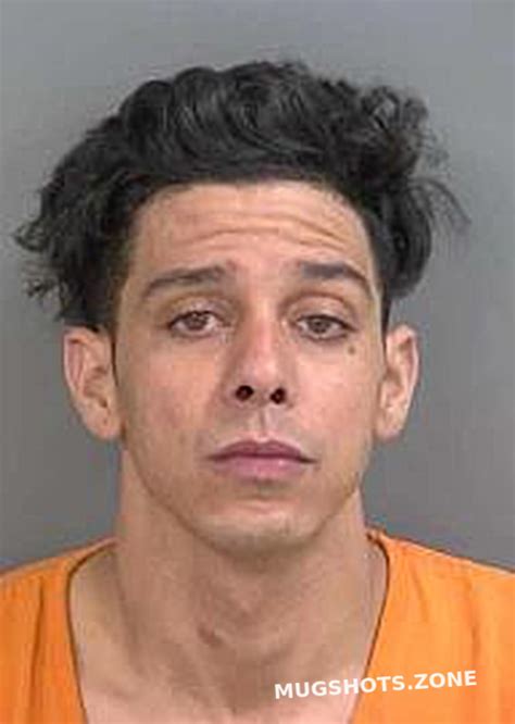 Calaramos Rodolfo Collier County Mugshots Zone