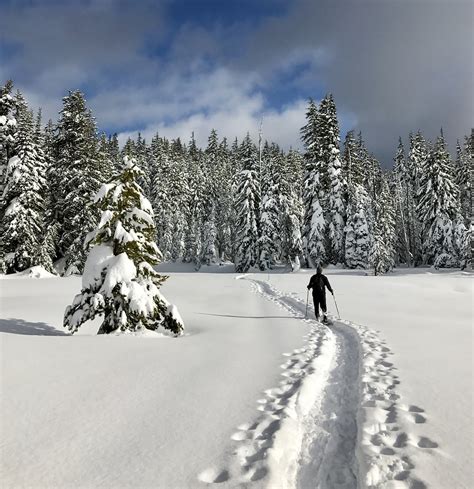 Todd Lake Deschutes National Forest Joan Amero Flickr