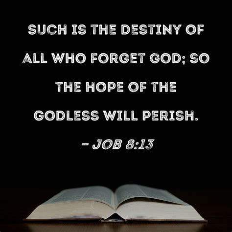 Job 8:13 Such is the destiny of all who forget God; so the hope of the