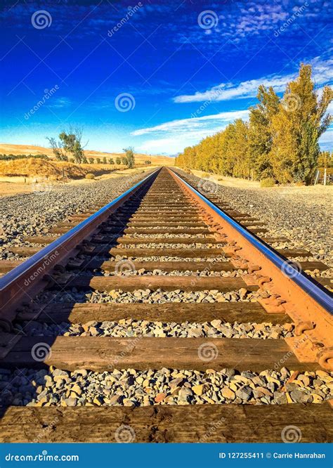 Dreaming of the Future at the End of a Solitary Railroad Track. Stock
