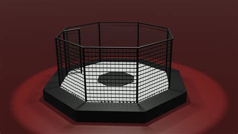 MMA Octagon Cage free VR / AR / low-poly 3D model | CGTrader