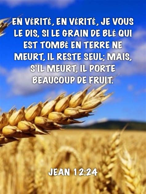 Porter Du Fruit Texte Biblique Citations Bibliques Versets