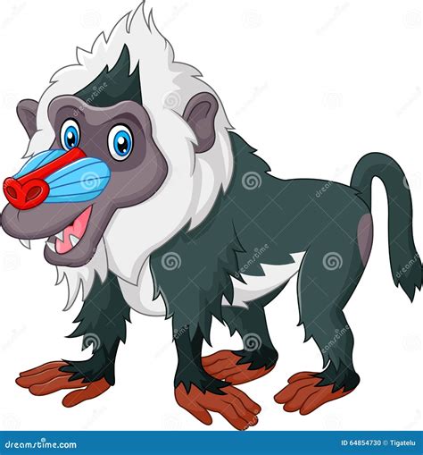 Cute Baboon Isolated On White Background Vector Illustration ...