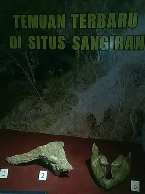 Sangiran Paleontology Museum On Central Java Indonesia Museum