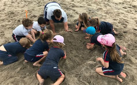 Cinco Desafíos De La Educación Física En El Jardín De Infantes Cads