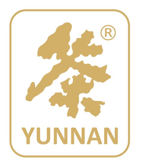 Schwarzer Tee Yunnan Tea