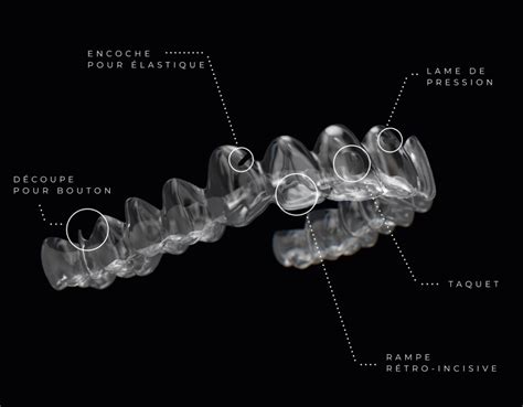 Accueil Orthodontistes Smilers Dentistes