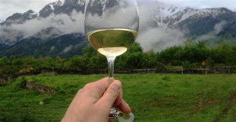Vino Underground, Tbilisi - Book Tickets & Tours | GetYourGuide
