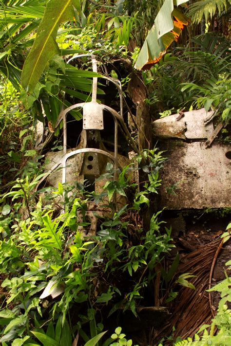 World War II History Tour on Peleliu Island, Palau