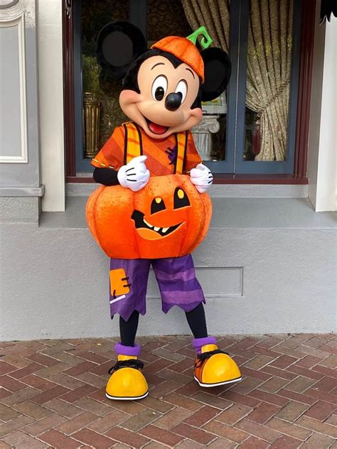 Halloween Costumes Of Mickey Mouse 2022 Get Halloween 2022 News Update