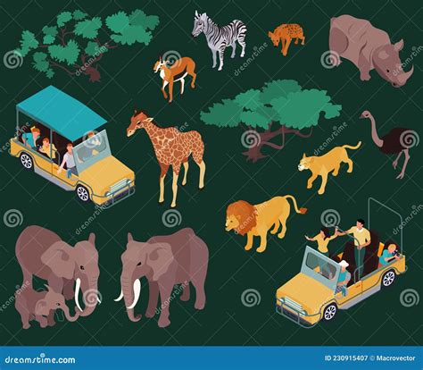 Isometric Safari Icons Collection Stock Vector Illustration Of