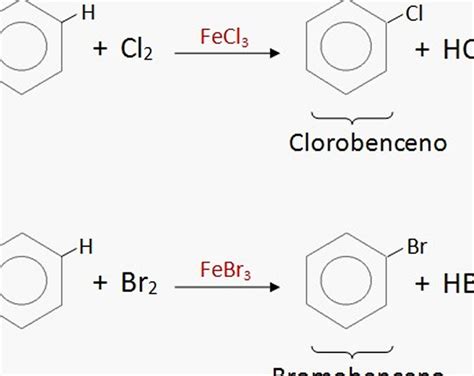 Descubre las fascinantes propiedades físicas de los ladrillos Coinref es