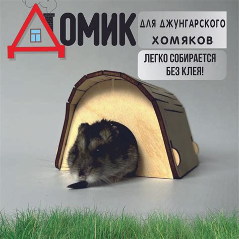 Домик для хомяка купить на OZON по низкой цене (1697616083)