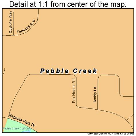 Pebble Creek Florida Street Map 1255540