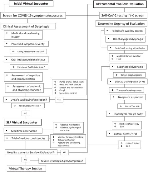 Dysphagia Treatment