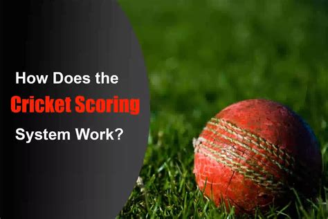 How Does The Cricket Scoring System Work