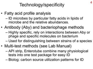 Bacterial Identification Ppt