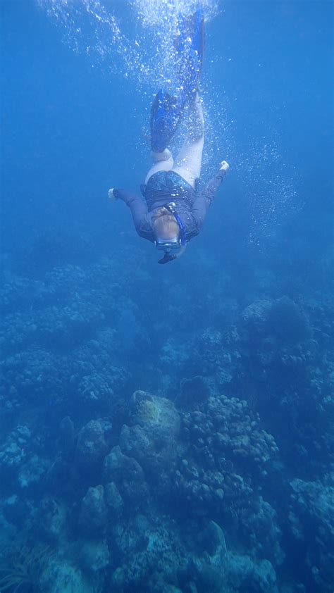 Snorkeling in Culebra. | GarbledSyntax