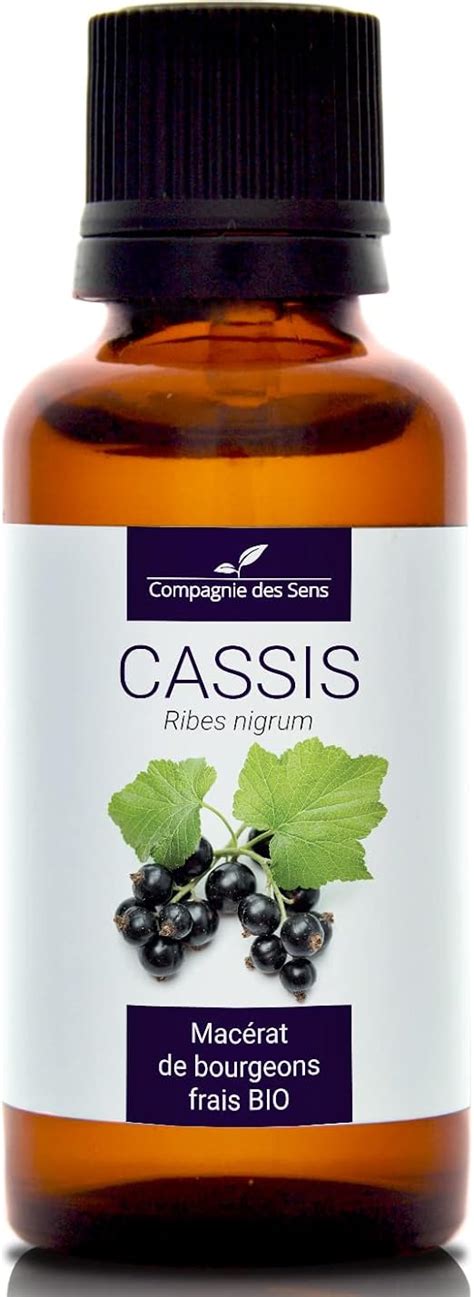 Cassis Ml Mac Rat De Bourgeons Bio Amazon Fr Hygi Ne Et Sant