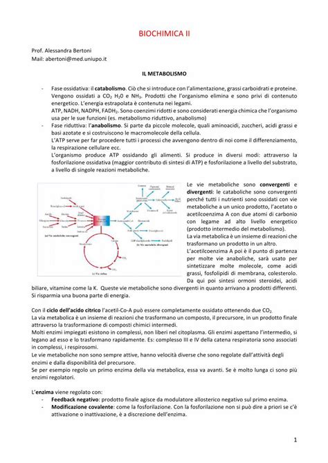 Pdf Biochimica Ii Meduniupo Altervista Orgmeduniupo Altervista