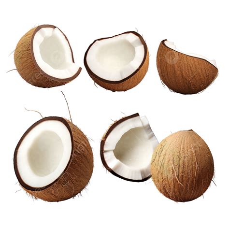 Set Of Coconuts Isolated Png Coconut Background White Png