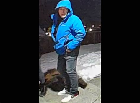 Kingston Police need help confirming assault suspect's identity | The ...