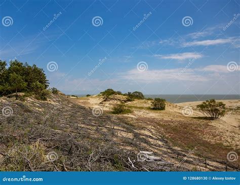 Sand Dunes on the Curonian Spit Stock Photo - Image of path, dunes ...