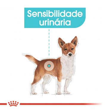 Ra O Para C O Royal Canin Urinary Care Mini