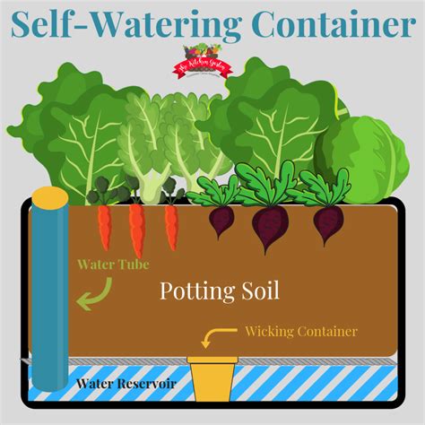 Self Watering Planters Diy Demo How They Work Tips For Off