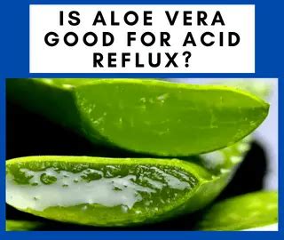 Is Aloe Vera Good for Acid Reflux? (Answered) - NatureWord