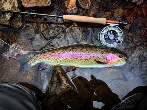 AI will soon help archive all waynesboro obituaries 4