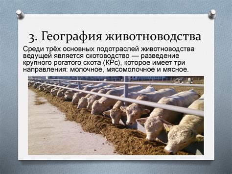 География сельского хозяйства мира - презентация онлайн