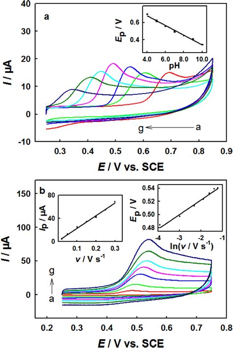 A Cv Curves Of M Bpa At The D C Mos Gce In M Pbs At