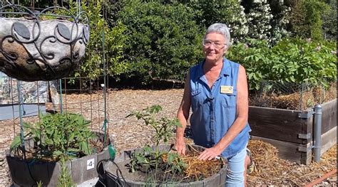 Sacramento Digs Gardening Sacramento County Master Gardeners Tips