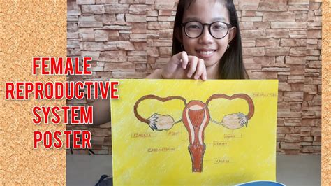 Female Reproductive System Poster Grade Science By Yheanchie