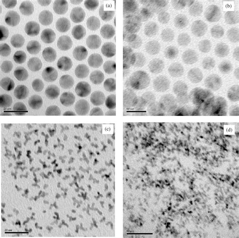 Tem Images Of Ag And Au Spherical Nanoparticles A And B