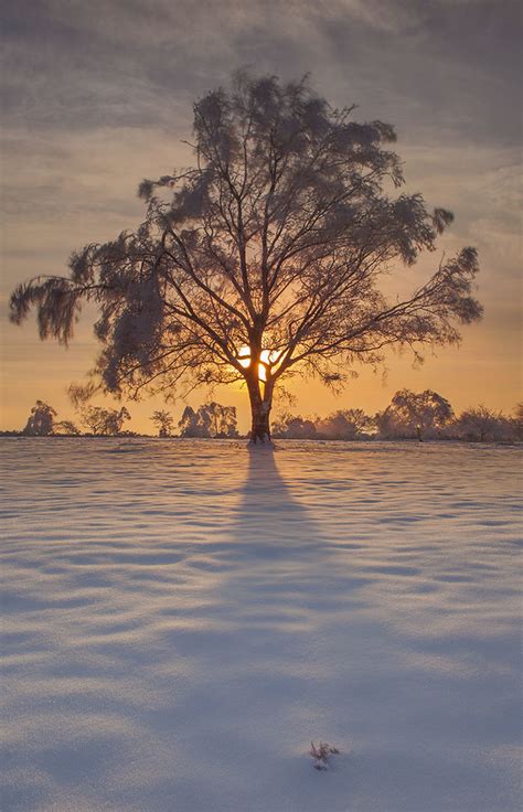 Winter Sunset Peter Spencer Flickr