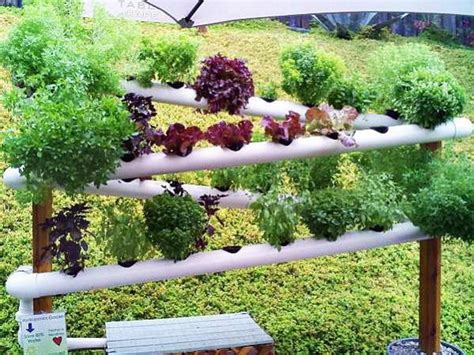 Gardening Innovations – 10 cool ideas to make you smile ...