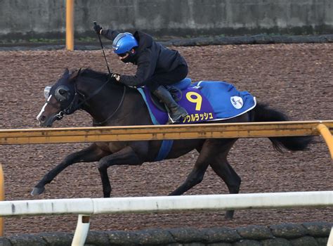 【マイルcs・玉木の特注馬】状態の良さには太鼓判を押せるソウルラッシュ 陣営「上積みはたっぷり」 ライブドアニュース