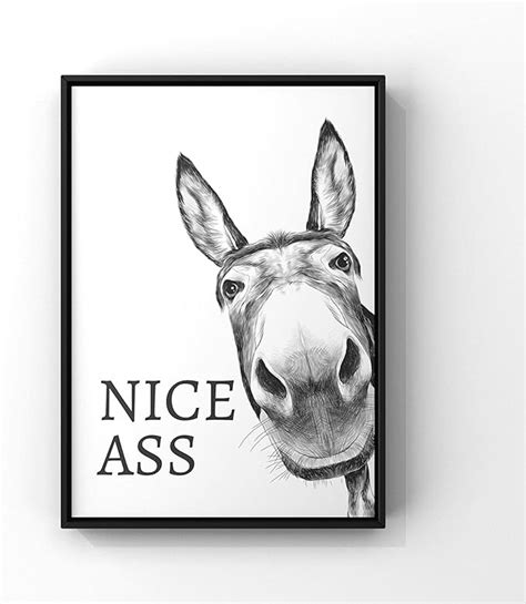 Amazon Holeiluck Nice Ass Quote Funny Sign Canvas Painting Vintage Donkey Prints Wall Art