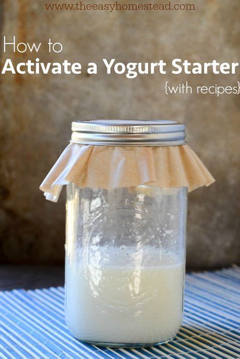 How to Activate a Yogurt Starter Culture {with Recipes} | The Easy Homestead | Yogurt starter ...