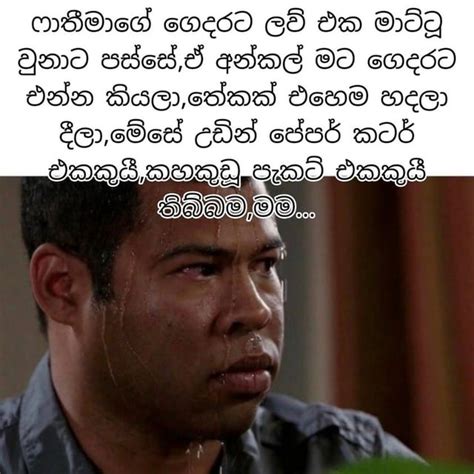 කොටගෙ අවදානය පිණිසයි 😹 R Tkasylum