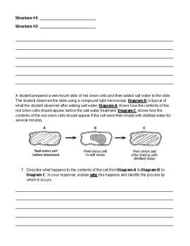 Living Environment Regents Review Cells Transport And Biochemistry