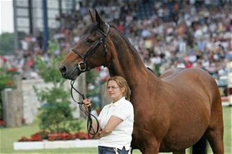 Beerbaums Sidste Farvel Til Ratina Z Ridehesten