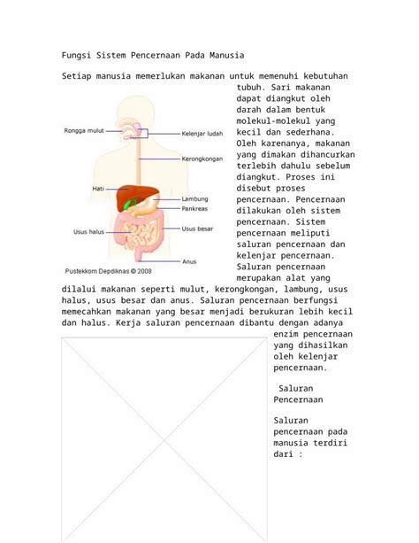 Doc Fungsi Sistem Pencernaan Pada Manusia Dokumen Tips